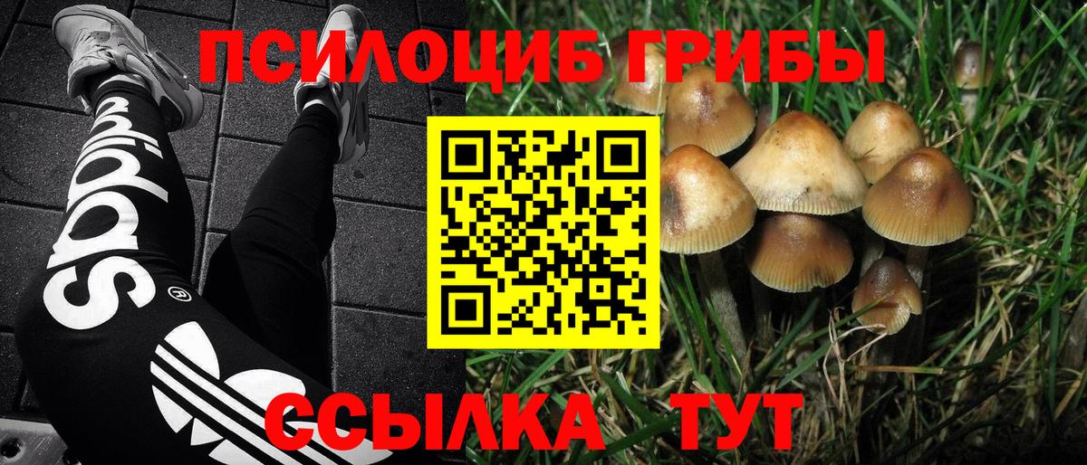 Псилоцибиновые грибы GOLDEN TEACHER Россошь